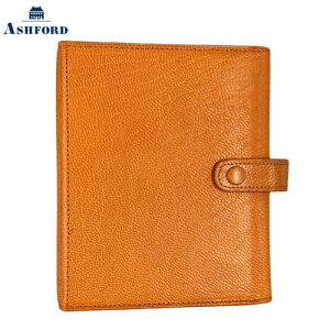 y10%OFFN[|zAVtH[h weCW MINI6 19mmO R[`} X^ VXe蒠 Ashford [J[i1253-033