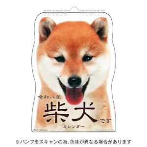 y10%OFFN[|zANeBuR[|[V 2026N Ǌ|J_[ Čł [J[i26ACL-65