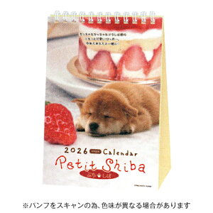 y10%OFFN[|zANeBuR[|[V 2026N J_[ Ղ Č [J[i26ACL-545