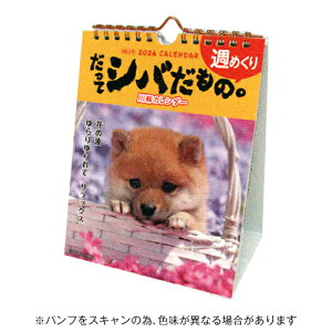 y10%OFFN[|zANeBuR[|[V 2026N J_[ ăVóB Č XcėY [J[i26ACL-566