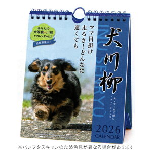 y10%OFFN[|zA[gvgWp 2026NŃJ_[ _bNX  T߂  A.P.J. [J[i1000136873