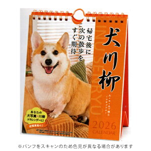 y10%OFFN[|zA[gvgWp 2026NŃJ_[ R[M[  T߂  A.P.J. [J[i1000136876