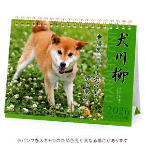 y10%OFFN[|zA[gvgWp 2026NŃJ_[   A.P.J. [J[i1000136878