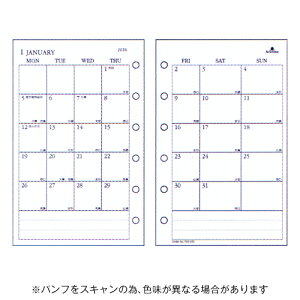 y10%OFFN[|zAVtH[h2026NŃVXe蒠tBԃ_CA[J_[ MINI~j6 O[XV[Y j [J[i1502-026