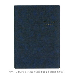 y10%OFFN[|z_CS[ 2026NŎ蒠(2025N10n܂) CITTA_CA[ `b^_CA[A5 fB[vlCr[ DAIGO [J[iE5301