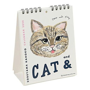 y10%OFFN[|zO[eBOCt 2026NőJ_[ LbgAh/ŎRَq L CAT [J[iC-1686-SD