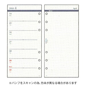 y10%OFFN[|zmbNX 2026NŃVXe蒠tB i[TCY t Ж1T Жʃ KNOX [J[i52200226