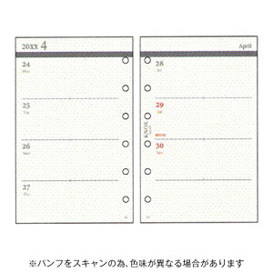 y10%OFFN[|zmbNX 2026NŃVXe蒠tB ~jTCY t J1T KNOX [J[i52300126