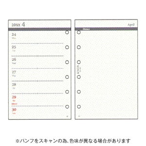 y10%OFFN[|zmbNX 2026NŃVXe蒠tB ~jTCY t Ж1TԕЖʃ KNOX [J[i52300226