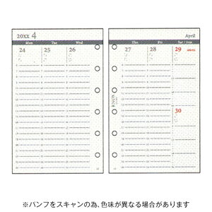 y10%OFFN[|zmbNX 2026NŃVXe蒠tB ~jTCY t J1T o[`J^ KNOX [J[i52300426