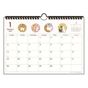 y10%OFFN[|zTX^[ 2026N EH[J_[Vv^ mofusand tTh [J[iS8521484