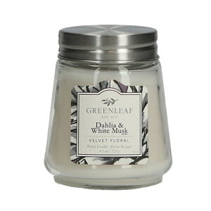 y10%OFFN[|zO[[t veB[gLh _AzCgXN [J[iGL18908