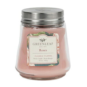 y10%OFFN[|zO[[t veB[gLh [Y A}tOX XC GREENLEAF [J[iGL18954