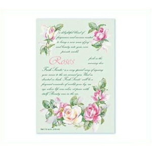 y10%OFFN[|zEB[ubNtbVZcL [Y  TVF [J[iPF18RO E5܂Ń[։