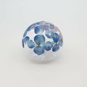 y10%OFFN[|zؔV{ r[h()  ɕׂKX z AWTC [J[iT-51