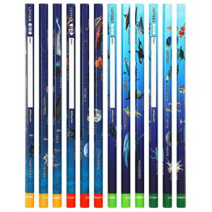 y10%OFFN[|zNc Cm҂ 2B (12{) CmA[Cwׂ鉔M [J[iPA026