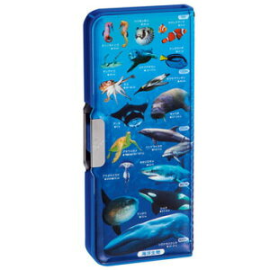 y10%OFFN[|zNc wׂ2hAM(Cm) yP[X M [J[iSF022