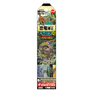 y10%OFFN[|zNc w m҂ M 2B 12{ KUTSUWA [J[iPA038