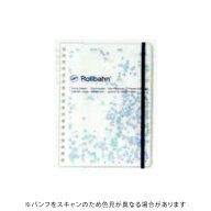 【10%OFFクーポン】デルフォニックス ロルバーン ポケット付メモ グリッター M クリーム DELFONICS Rollb…