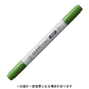 y10%OFFN[|zToo gD[ RsbN`I Nile Green iCEO[ COPIC [J[iG07