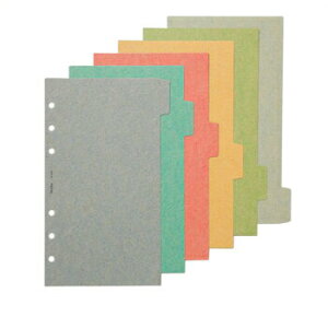 y10%OFFN[|z{\ Bindex J[CfbNX R6 A[XJ[ VXe蒠 oCuTCY [J[i609