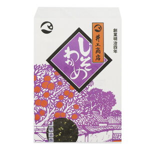 y10%OFFN[|z܂v_Ng Wb` 킯  ㏤X 킩 JIMOCCHA [J[i490-21