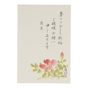 Ă͂ uM{ϕvn}iX 3 v[g bZ[WJ[h {