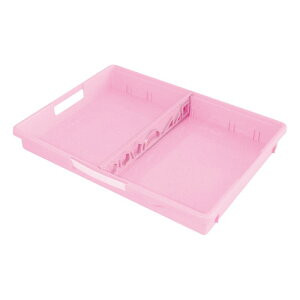 frJ wZЂ NW(肳EႭt) pXesN ȏEm[gEMLȂǂ𐮗ڂ w