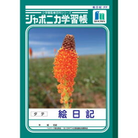 楽天市場 子供 絵日記 帳の通販