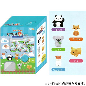 J~IWp V[Nbg JvZS  V[NbgpbP[Wdl 킢 ObY RNV