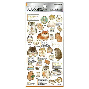 J~IWp l̐}ӃV[ nX^[ RNV fR[V IV