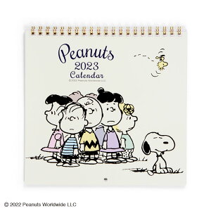 TI 2023N OJ_[M Xk[s[ Ǌ| \V[t ݃Xy[XL XPW[Ǘ