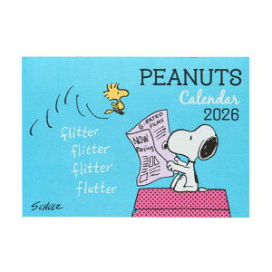 TI 2026N EH[J_[  Xk[s[ Ǌ| \V[t ݃Xy[XL XPW[Ǘ |Pbgt