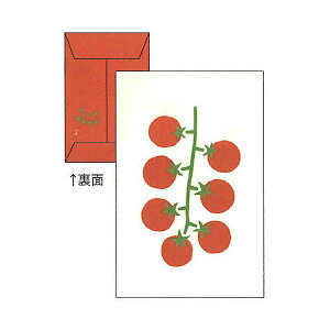 ING ړIۂ Ȃ₳ ~jg}g ړIɎgâۂ 5  ĕ