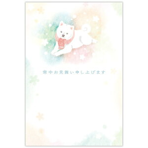 z[}[N   6 |XgJ[h nKL CNWFbgΉ 菑 {