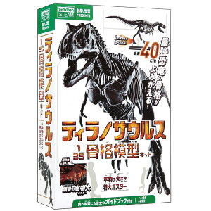 eBmTEX1/35i͌^Lbg A1|X^[t i͌^ mߋ  wXeCt v[g A