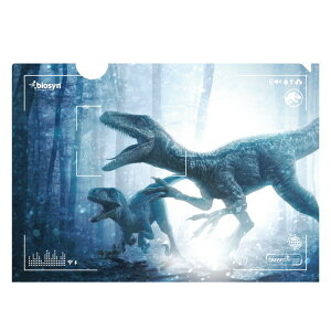 WVbNE[h VȂxz NAt@C A4 GXJC  j Gς ސ v[g