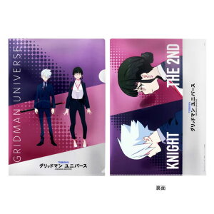 ���^���b�N�t�@�C�� ����� �O���b�h�}�� ���j�o�[�X �W�� D �N���A�t�@�C�� A4 ���{�� ���� �T���X�^�[����