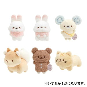 TGbNX VK[RR[ Ă̂ʂ 1 킢 v[g RNV 