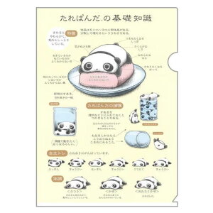 TGbNX ̂̂Ƃ NAz_[Zbg ς A4 NAt@C ObY 킢 q