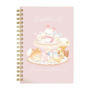 TGbNX VK[RR[ B6 SPm[g  킢 v[g