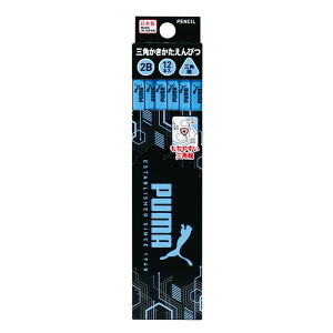 Nc PUMA M 2B _[X Op  Mtg v[g LOi Vw j