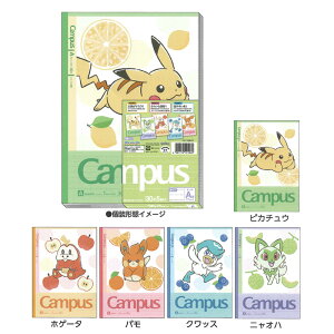 VEm[g |PbgX^[ hbg Ar 5pbN RN LpXm[g Čm[g ObY  {