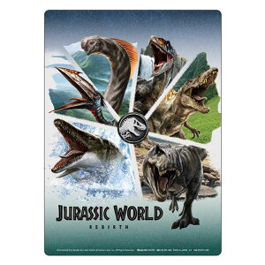 WVbNE[h ̑n NA~ B5 VEm[g  Vw j v[g