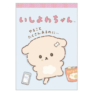 TGbNX 킿 pbh 80  킢 v[g