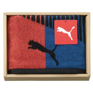 PUMA X|[c^I P[X Mtg v[g IV 킢 j LOi Ԃ j V Vw