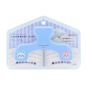 �T���X�^�[���� �E�J�������N���b�v �������K×�Ö{�� �������y�[�W���L�[�v �Ǐ� ���q ���V�s �I�V���� �֗��O�b�Y ���[�������2024�A�C�f�A��