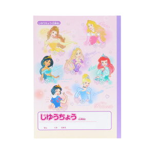 DC fBYj[vZX R B5 2025N TX^[ Vw j Mtg v[g {