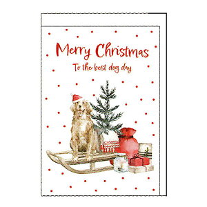 teBA NVbNNX}XJ[h S[fƃ\ bZ[WJ[h v[g [NX}X