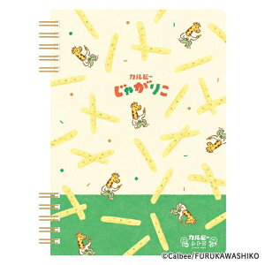 Ð쎆H B6 Om[g Ⴊ肱 Jr[ 5mm g R{ 킢 { v[g IV